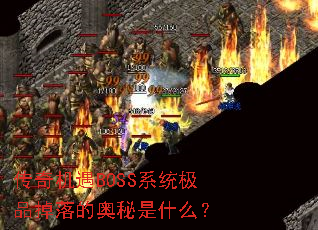 �������BOSSϵͳ��Ʒ����İ�����ʲô��
