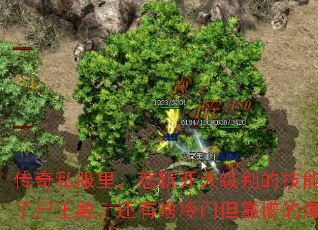 传奇私服里,怒斩开天级别的技能书,除了尸王殿,还有啥冷门但靠谱的爆点没? 传奇私服里,怒斩开天级别的技能书,除了尸王殿,还有啥冷门但靠谱的爆点没?