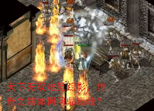 天下无双难觅踪影,传奇之路如何问鼎巅峰? 天下无双难觅踪影,传奇之路如何问鼎巅峰?