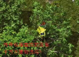 ����˽��Ѫ��������ǧ��Ҫ������