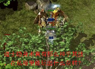 ��ʿ������������ô����似����˽���������ʲô������