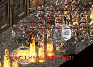 传奇毒蛇山谷都会遇到哪些怪物? 传奇毒蛇山谷都会遇到哪些怪物?