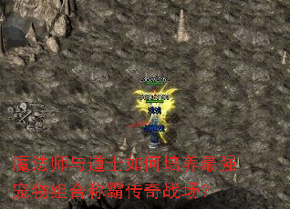 魔法师与道士如何培养最强宠物组合称霸传奇战场? 魔法师与道士如何培养最强宠物组合称霸传奇战场?