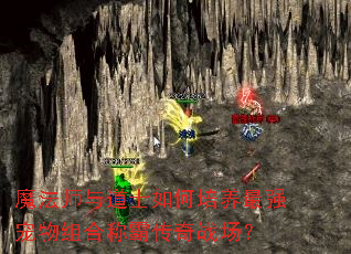 魔法师与道士如何培养最强宠物组合称霸传奇战场? 魔法师与道士如何培养最强宠物组合称霸传奇战场?