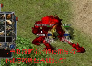 传奇私服野蛮冲撞使用技巧不能忽略哪些关键要点? 传奇私服野蛮冲撞使用技巧不能忽略哪些关键要点?