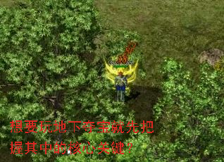 想要玩地下夺宝就先把握其中的核心关键? 想要玩地下夺宝就先把握其中的核心关键?