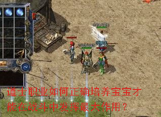 道士职业如何正确培养宝宝才能在战斗中发挥最大作用? 道士职业如何正确培养宝宝才能在战斗中发挥最大作用?