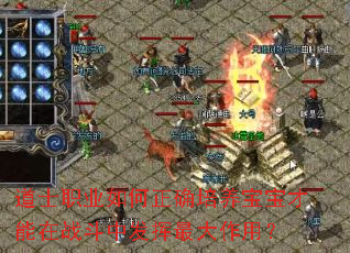 道士职业如何正确培养宝宝才能在战斗中发挥最大作用? 道士职业如何正确培养宝宝才能在战斗中发挥最大作用?