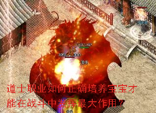 道士职业如何正确培养宝宝才能在战斗中发挥最大作用? 道士职业如何正确培养宝宝才能在战斗中发挥最大作用?