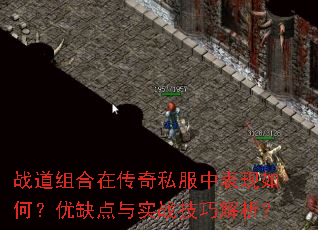 战道组合在传奇私服中表现如何?优缺点与实战技巧解析? 战道组合在传奇私服中表现如何?优缺点与实战技巧解析?