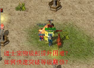 道士宠物级别提升困难?如何快速突破等级瓶颈? 道士宠物级别提升困难?如何快速突破等级瓶颈?