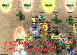 道士宠物级别提升困难?如何快速突破等级瓶颈? 道士宠物级别提升困难?如何快速突破等级瓶颈?