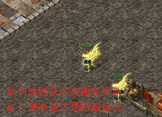 如何快速获取高纯度黑铁矿?原来这才是隐藏秘诀 如何快速获取高纯度黑铁矿?原来这才是隐藏秘诀