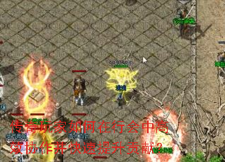 传奇玩家如何在行会中高效协作并快速提升贡献? 传奇玩家如何在行会中高效协作并快速提升贡献?