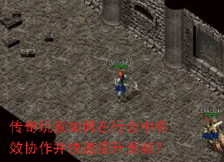 传奇玩家如何在行会中高效协作并快速提升贡献? 传奇玩家如何在行会中高效协作并快速提升贡献?