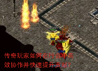 传奇玩家如何在行会中高效协作并快速提升贡献? 传奇玩家如何在行会中高效协作并快速提升贡献?