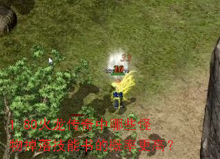 1.80火龙传奇中哪些怪物掉落技能书的概率更高? 1.80火龙传奇中哪些怪物掉落技能书的概率更高?