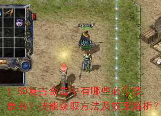 1.80���źϻ�������Щ��ѧ�����飿���ܻ�ȡ������Ч��������