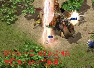 ��ɳս�з�ʦ�Ŷ���θ�Ч���ò���ȡ��ʤ����