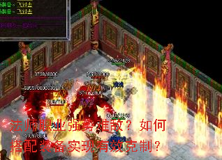 ��ʦְҵǿ���ѵУ���δ���װ��ʵ����Ч���ƣ�