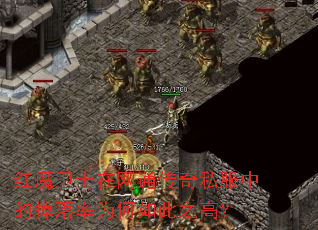 ��ħ��ʿ����ͨ����˽���еĵ�����Ϊ�����֮�ߣ�