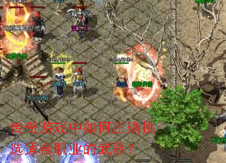 ������Ϸ�������ȷ��ѡ�ʺ�ְҵ��������