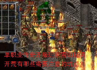 ��ְҵ���濪�����ѩɽ�ؾ���������Щ��Ҫע��Ŀӵ㣿