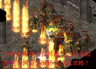 ������Ϸսʿ��ʦ��ʿ��ְҵ���������ȫ�������ѡ���ԣ�