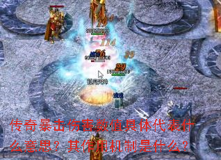 ���汩���˺���ֵ�������ʲô��˼�������û�����ʲô��