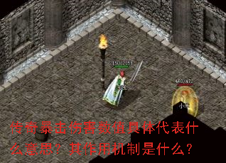 ���汩���˺���ֵ�������ʲô��˼�������û�����ʲô��