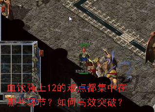 Ѫ��ǿ��12���ѵ㶼��������Щ���ڣ���θ�Чͻ�ƣ�