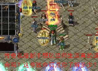 传奇私服新手想玩法师生涯真的适合吗?这些致命弱点你了解多少? 传奇私服新手想玩法师生涯真的适合吗?这些致命弱点你了解多少?