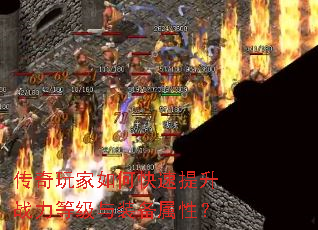 ���������ο�������ս���ȼ���װ�����ԣ�