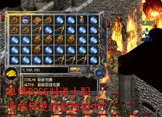 ����BOSSʱ��ʿְҵ��η�����ǿʵ����