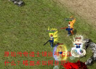 ԭʼʿǶʯѡʲôѪλȡ