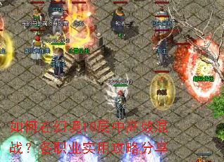 ڻþ10иЧսְҵʵùԷ