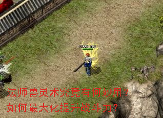 法师兽灵术究竟有何妙用?如何最大化提升战斗力? 法师兽灵术究竟有何妙用?如何最大化提升战斗力?
