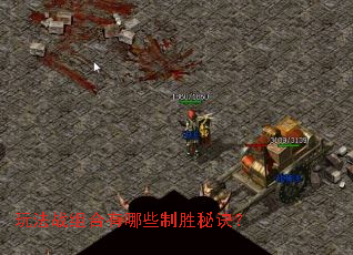 玩法战组合有哪些制胜秘诀? 玩法战组合有哪些制胜秘诀?