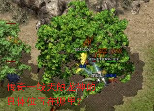 传奇一线天触龙神的具体位置在哪里? 传奇一线天触龙神的具体位置在哪里?
