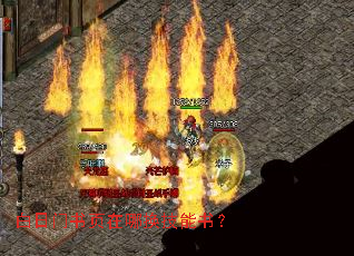 白日门书页在哪换技能书? 白日门书页在哪换技能书?