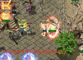 如何攻克传奇私服中的经典BOSS? 如何攻克传奇私服中的经典BOSS?