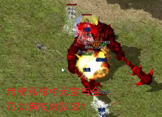 传奇私服中元宝与金币如何高效获取? 传奇私服中元宝与金币如何高效获取?