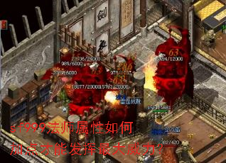 sf999法师属性如何加点才能发挥最大威力? sf999法师属性如何加点才能发挥最大威力?