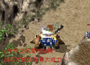 sf999法师属性如何加点才能发挥最大威力? sf999法师属性如何加点才能发挥最大威力?