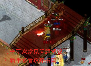 传奇玩家常见问题解答?新手必看攻略指南 传奇玩家常见问题解答?新手必看攻略指南