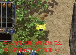 皇城传奇私服攻略秘籍怎么用?新手必看技巧有哪些? 皇城传奇私服攻略秘籍怎么用?新手必看技巧有哪些?