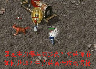 屠龙宝刀爆率有多高?时装掉落如何获取?生肖装备全攻略揭秘 屠龙宝刀爆率有多高?时装掉落如何获取?生肖装备全攻略揭秘