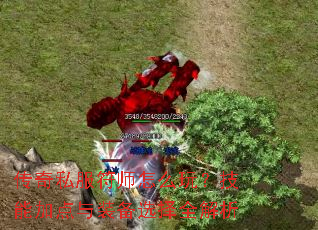 传奇私服符师怎么玩?技能加点与装备选择全解析 传奇私服符师怎么玩?技能加点与装备选择全解析