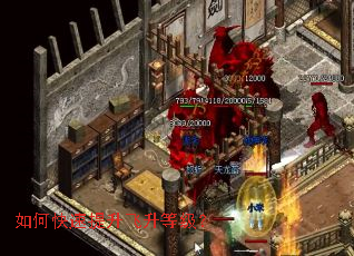 如何快速提升飞升等级? 如何快速提升飞升等级?