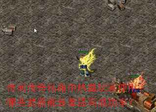 ���Ŵ���˽������Ѫ���ʹ����Щ������������߳ɹ��ʣ�